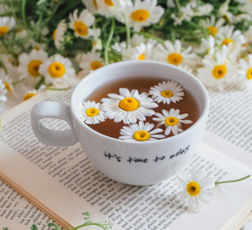 A cozy still life featuring chamomile tea in a cup, open wellness book surrounded by daisies — gentle energy reset.