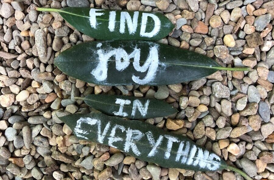 Three leaves resting on rocks with the words “find joy in everything,” symbolizing self care and renewal.